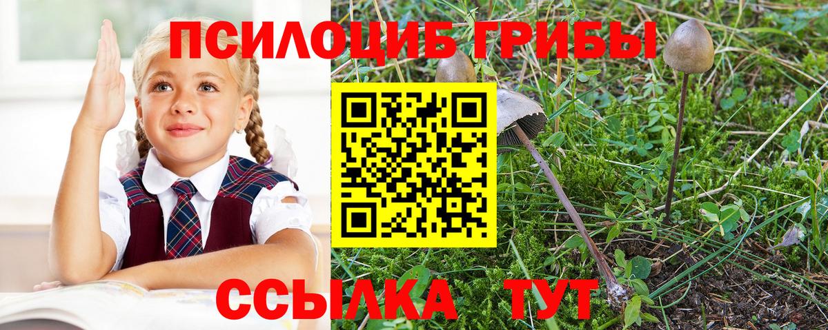 Псилоцибиновые грибы мицелий Кимры