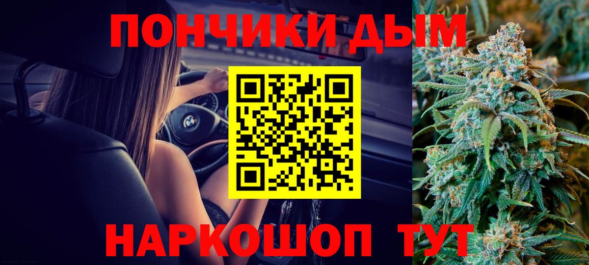 Канабис сатива Кимры