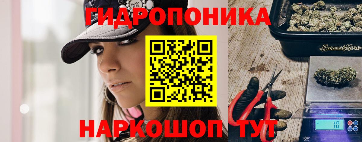 Конопля Amnesia  Вход с VPN  Марихуана THC 21%  Кимры 